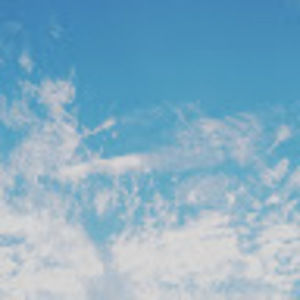 Meet your Posher, Savana